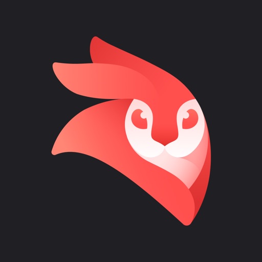 Videoleap app icon